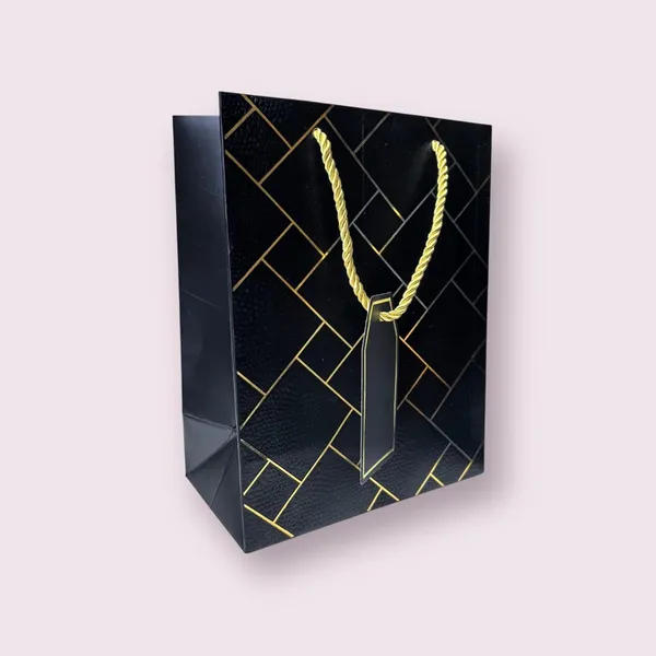 Pack_Of_10_Black_Gift_Paper_Bag