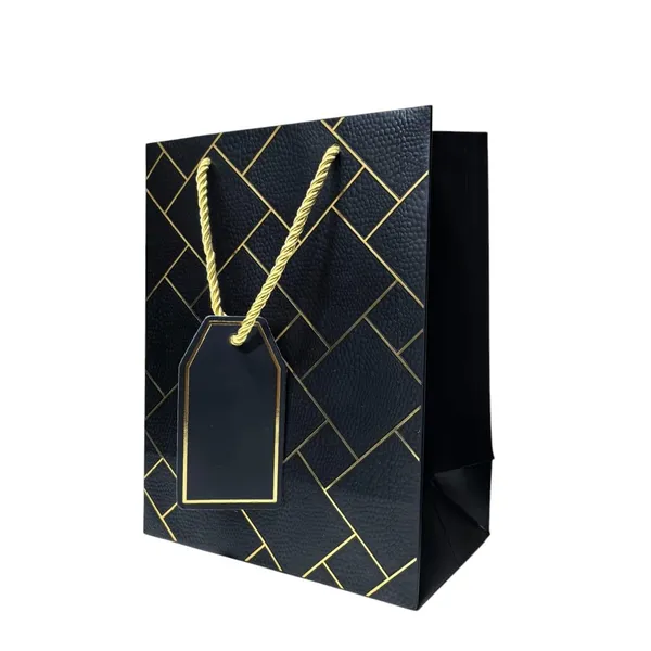 Pack_Of_10_Black_Gift_Paper_Bag