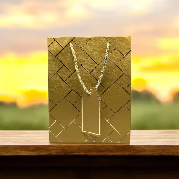 Pack_Of_10_Gold_Gift_Paper_Bag