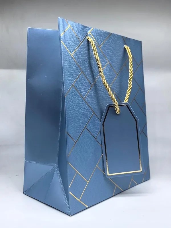 Pack_Of_10_Metallic_Blue_Gift_Paper_Bag