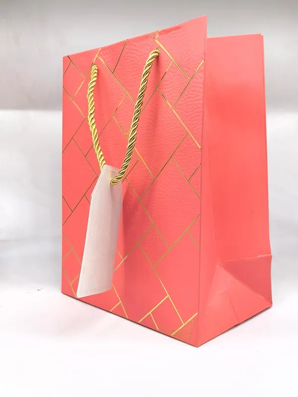 Pack_Of_10_Pink_Gift_Paper_Bag