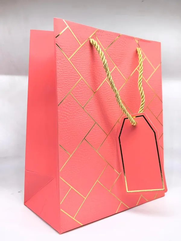 Pack_Of_10_Pink_Gift_Paper_Bag