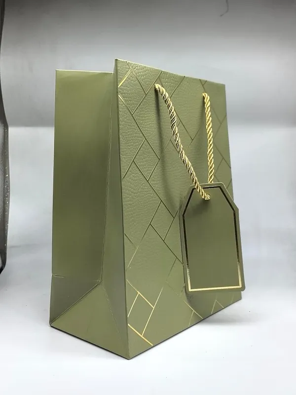 Pack_Of_10_Green_Gift_Paper_Bag