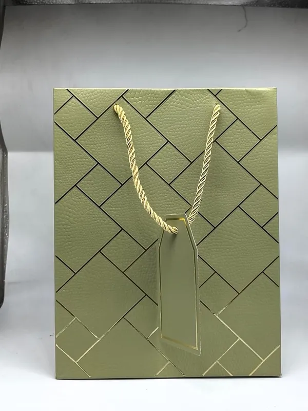 Pack_Of_10_Green_Gift_Paper_Bag