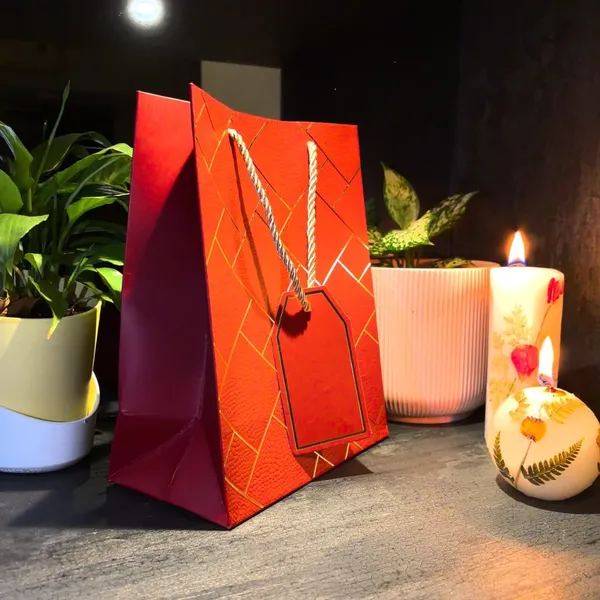 Pack_Of_10_Red_Gift_Paper_Bag
