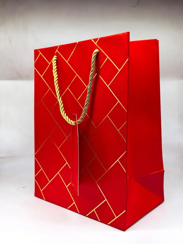 Pack_Of_10_Red_Gift_Paper_Bag