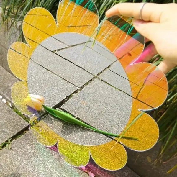 Flower_Holographic_Acrylic_For_Home_Decor