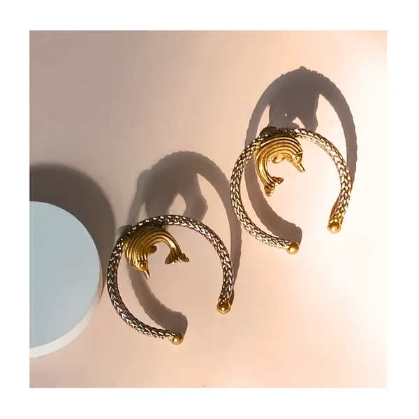 Dual_Tone_Tribal_Design_Fish_motif_Hoop_style_German_Silver_Earring_for_Girls_&_Women