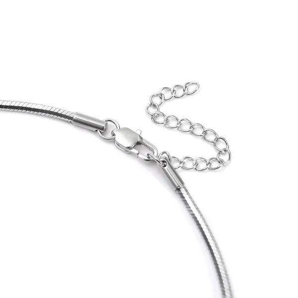 Blackbox_Jewelleries:_Silver_Plated_Stainless_Steel_Round_Snake_Chain_Necklace_|_2mm_|_Daily_&_Office_Wear_|_Gift_for_Her/Him
