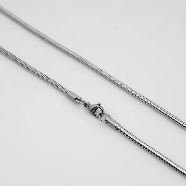 Blackbox_Jewelleries:_Silver_Plated_Stainless_Steel_Round_Snake_Chain_Necklace_|_2mm_|_Daily_&_Office_Wear_|_Gift_for_Her/Him