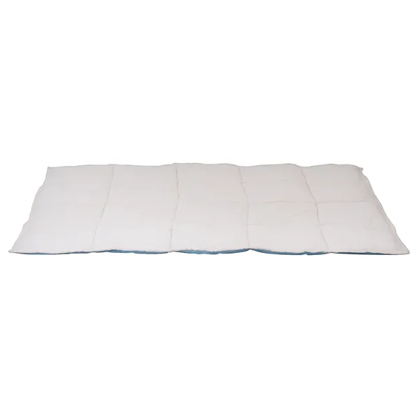 Cream_Blue_Premium_Tent_Play_House_With_Quilt_For_Kids