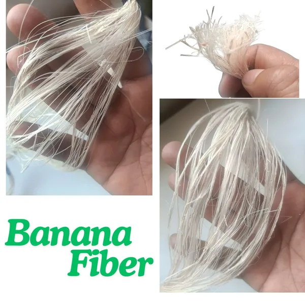 Banana_Fiber_Natural_Banana_Fiber_For_Handicrafts_Yarn_Textile_Use_Eco_Friendly_Sustainable_Fiber