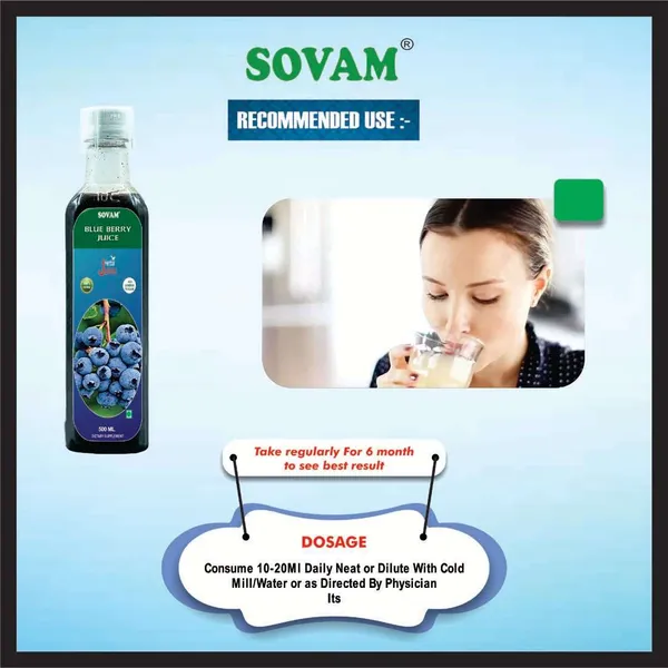 Blue_Berry_Juice_|_Healthy_For_Body_Antioxidant_Detoxification_Antiviral_Immunity_Booster_500_Ml