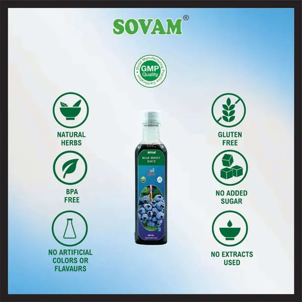 Blue_Berry_Juice_|_Healthy_For_Body_Antioxidant_Detoxification_Antiviral_Immunity_Booster_500_Ml