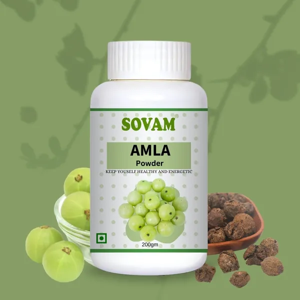 Amla_Powder_200_Gm