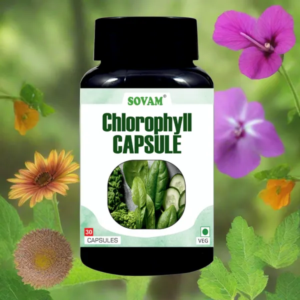 Chlorophyll_Capsule_30_Capsule