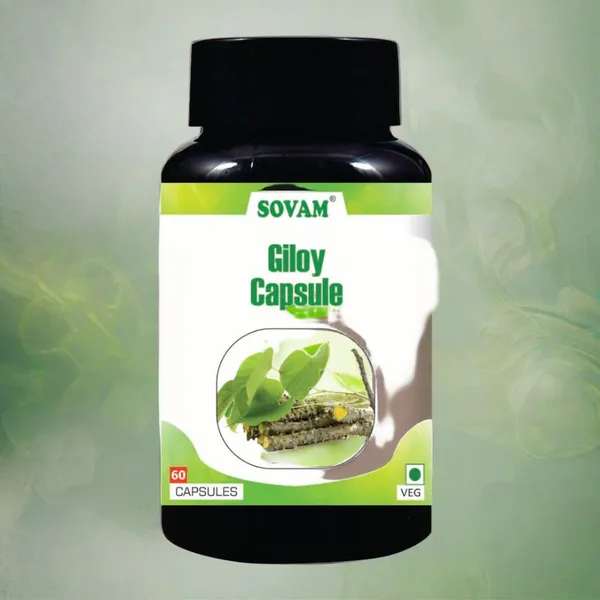 Giloy_Capsule_For_Improves_Immunity_60_Capsule