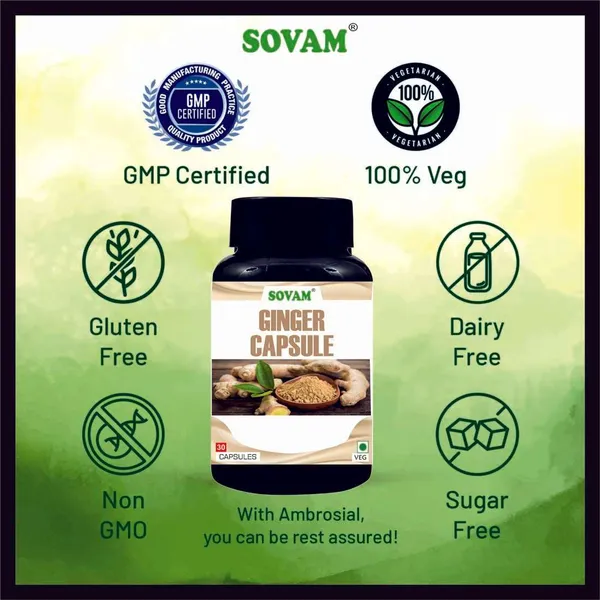 Ginger_Capsule_For_Energy,_Endurance,_Performance_&_Improved_Vitality_30_Capsule