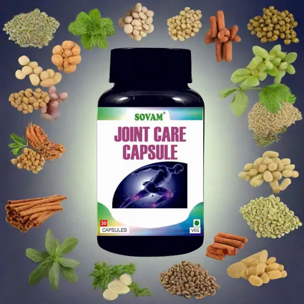 Joint_Care_Plus_Capsules_30_Capsule