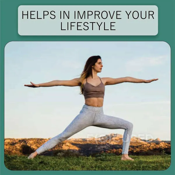 Natural_Aloe_Vera_Mango_Juice_500_Ml