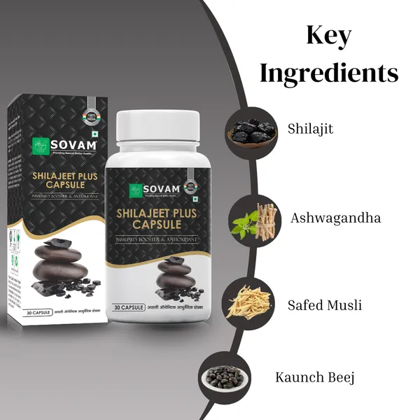 Shilajeet_Capsules_Ayurvedic_Medicine_30_Capsules
