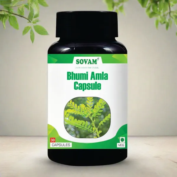 Bhumi_Amla_Ayurvedic_Medicine_30_Capsule