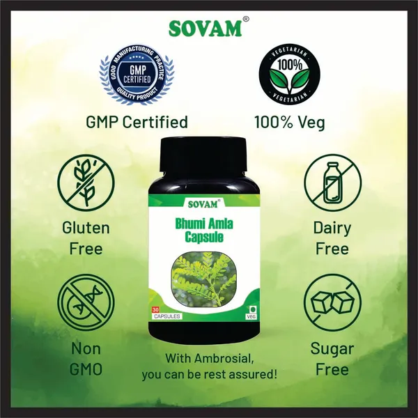 Bhumi_Amla_Ayurvedic_Medicine_30_Capsule