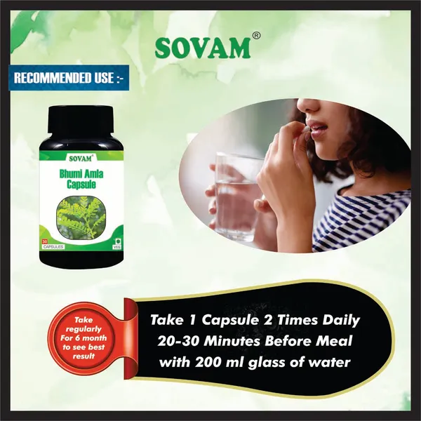 Bhumi_Amla_Ayurvedic_Medicine_30_Capsule
