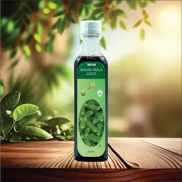 Bhumi_Amla_Juice_500_Ml