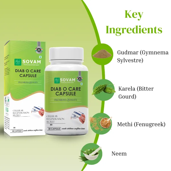 Diab_O_Care_Capsules_Ayurvedic_Medicine_For_Diabetes_30_Capsules
