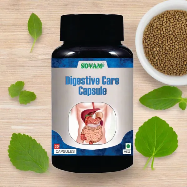 Diges_O_Care_Ayurvedic_Medicine_30_Capsule