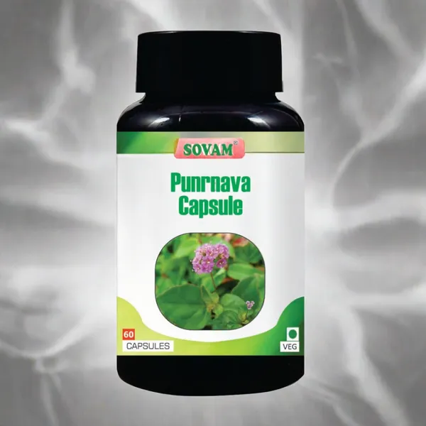 Punarnava_60_Capsules