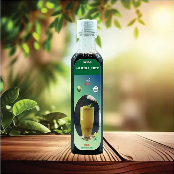 Refreshing_Jaljeera_Juice_500_Ml