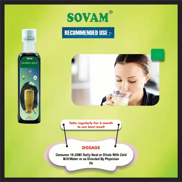 Refreshing_Jaljeera_Juice_500_Ml