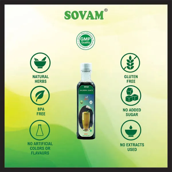 Refreshing_Jaljeera_Juice_500_Ml