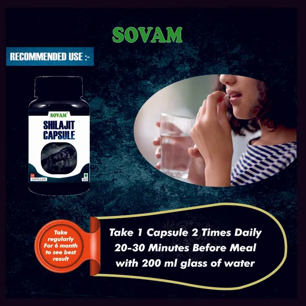Shilajit_30_Capsules