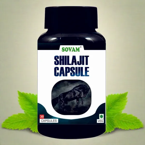 Shilajit_30_Capsules
