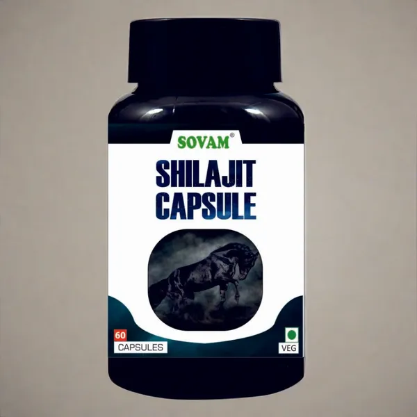 Sovam_Ayurvedic_Shilajit_60_Capsules