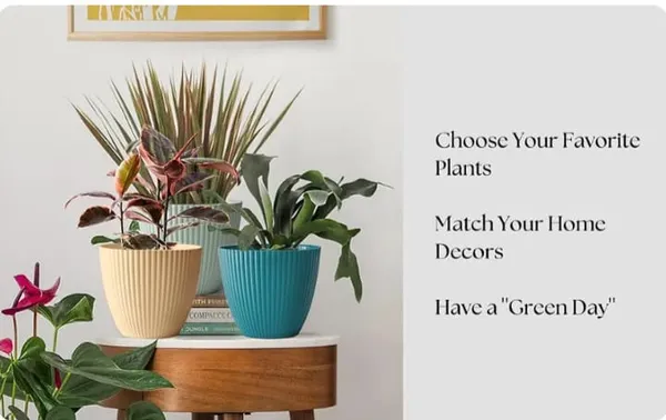 Pack_Of_3_Plastic_Outdoor_Indoor_Planters_Pots_With_Drainage_Hole_And_Tray_Saucer