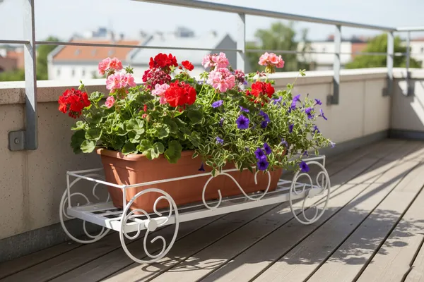 White_Metal_Rectangular_Stands__|_For_Indoor_And_Outdoor_Plants_|_With_Moving_Wheels_|_Size:(60_L_X_20_W_X_17_H_Cm)