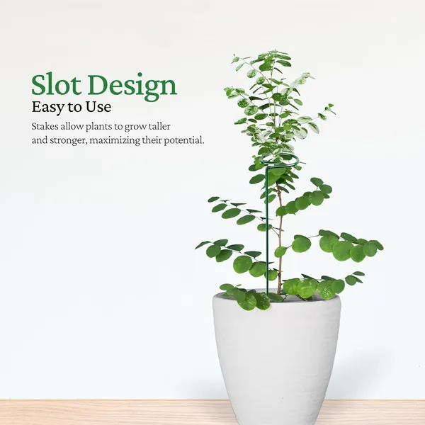 Set_of_3_Green_Metal_Trellis_|_For_Plant_Support_|_18_Inches_|_Super_Long_And_Strong