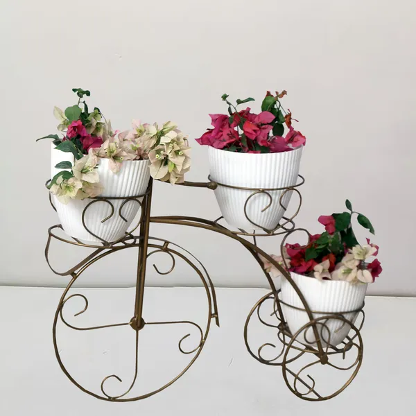 Cycle_Planter_Stand,_Tricycle_Plant_Holder_Ideal_for_Home,_Garden,_Terrace_set_of_1,_Gold