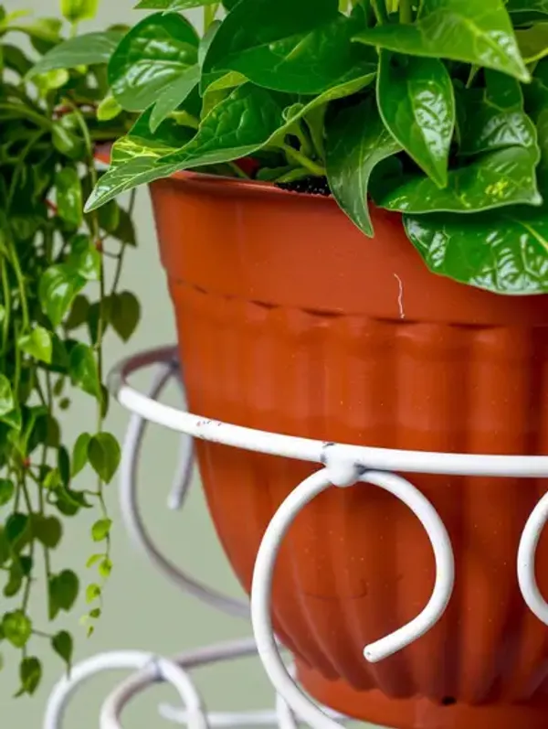 White_Cycle_Planter_Stand,_Tricycle_Plant_Holder_Ideal_|_For_Home,_Garden,_Terrace,_set_of_1