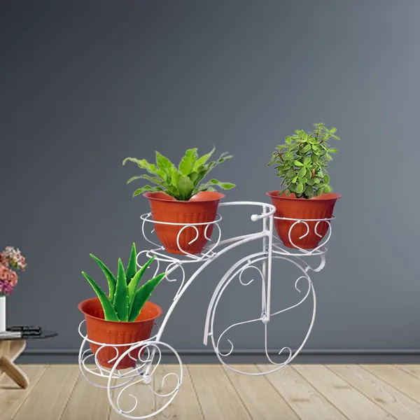 White_Cycle_Planter_Stand,_Tricycle_Plant_Holder_Ideal_|_For_Home,_Garden,_Terrace,_set_of_1