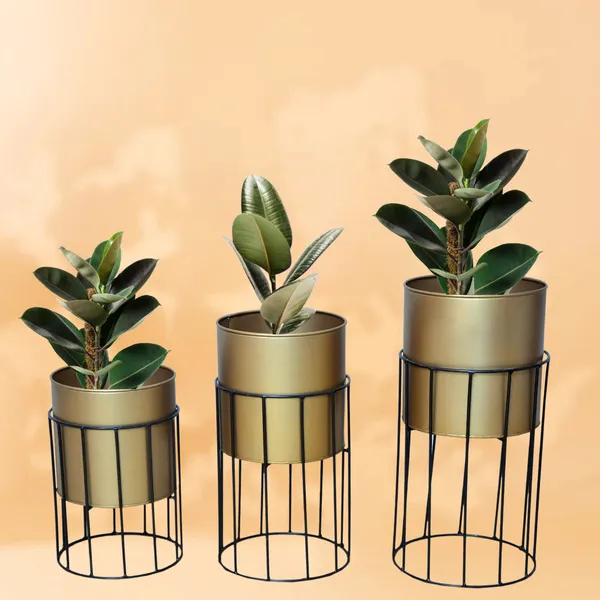 Gold_Plated_Metal_Planter_Stand_(Set_of_3)_|Suitable_for_Living_Room,_Bedroom__Decoration_|_(Gold)