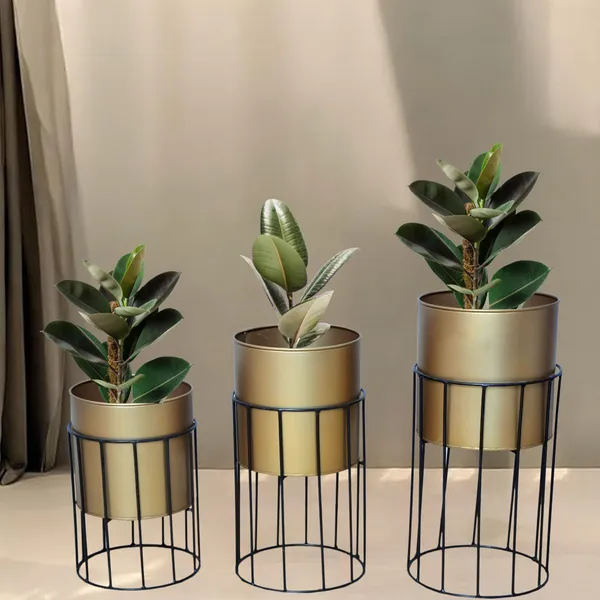 Gold_Plated_Metal_Planter_Stand_(Set_of_3)_|Suitable_for_Living_Room,_Bedroom__Decoration_|_(Gold)