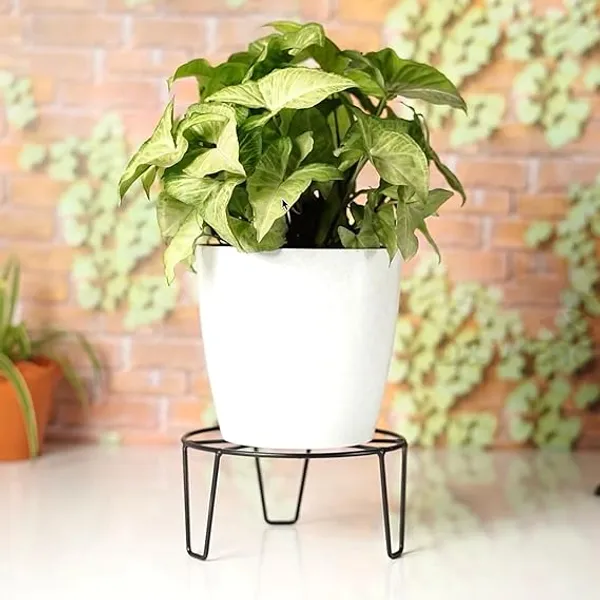 Set_Of_2_Black_Metal_Round_O_Shapeflower_Pot/Plant_Stand_|_For_Home_Garden_Balcony_Living_Room_Decoration