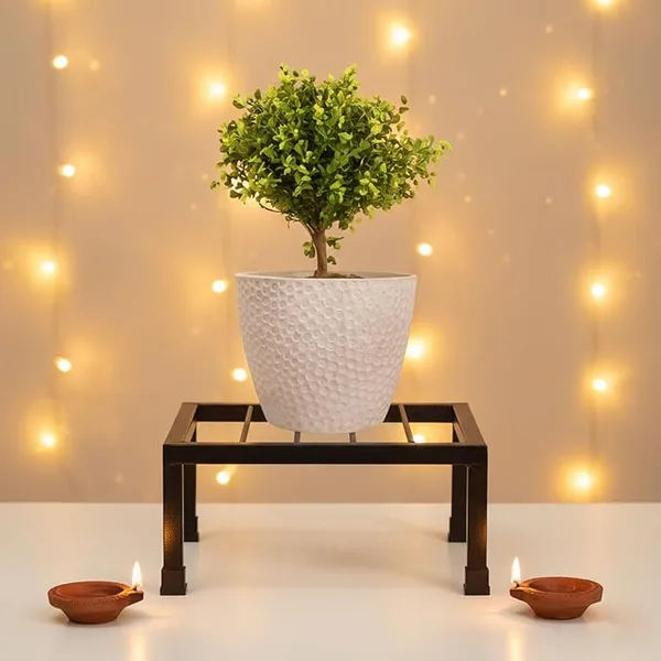 Set_of_1_Black_Strong_Flower_Pot_/_Gamla_Square_Stand_|_For_Indoor_And_Outdoor_Plants_|_Square_Shape_Thick_And_Strong_Leg