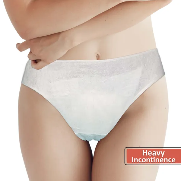 Pack_Of_10_Prowee_Volume_Dribler_Women_Disposable_Briefs_For_Incontinence_Protection_|_Pre-Fitted_With_Absorbent_Pad_For_High_Flow_|_Prevents_Rashes_&_Infection