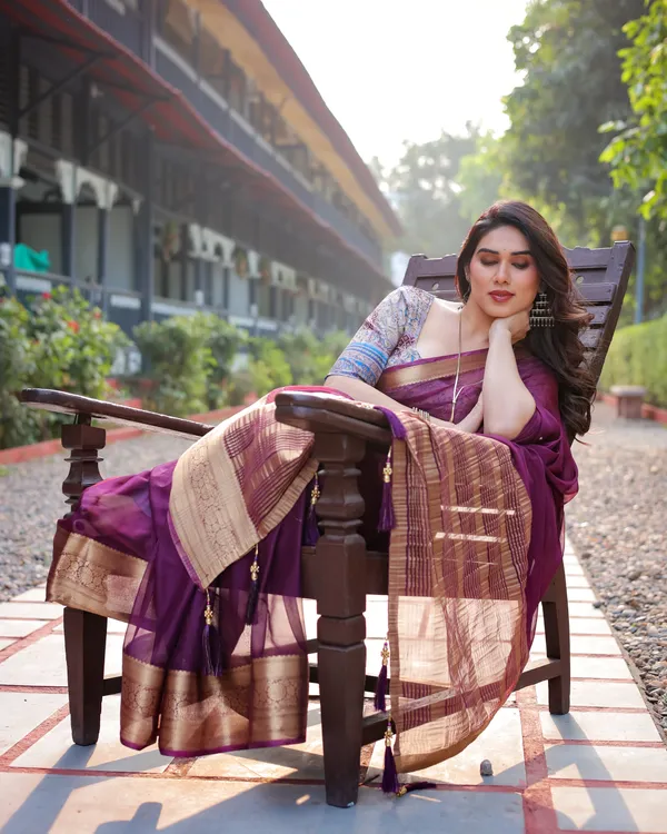 Majestic_Plum_Plain_Chiffon_Saree_with_Gold_Zari_Border,_Printed_Designer_Blouse_&_Tassel_Detailing